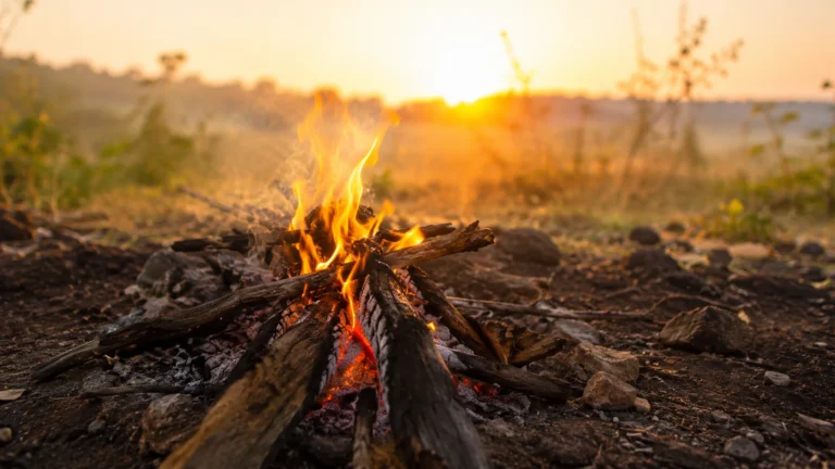 Chamas controladas em uma fogueira ao amanhecer, com luz natural dourada — sonhar com fogo